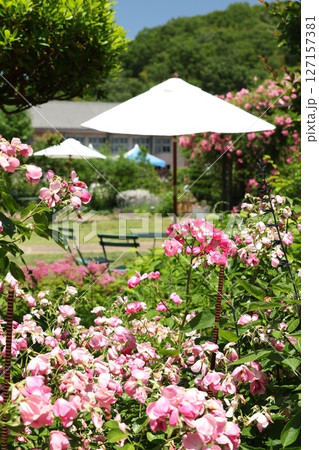 熊山英国庭園　8 127157381