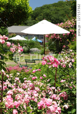 熊山英国庭園　7 127157382