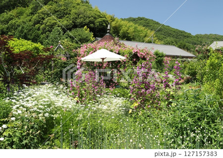 熊山英国庭園 6 熊山英国庭園 6 127157383