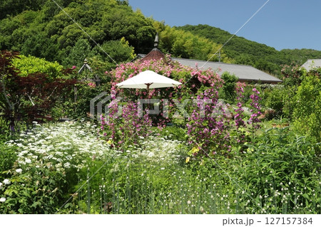 熊山英国庭園 5 熊山英国庭園 5 127157384