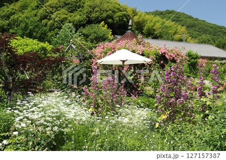 熊山英国庭園 2 熊山英国庭園 2 127157387