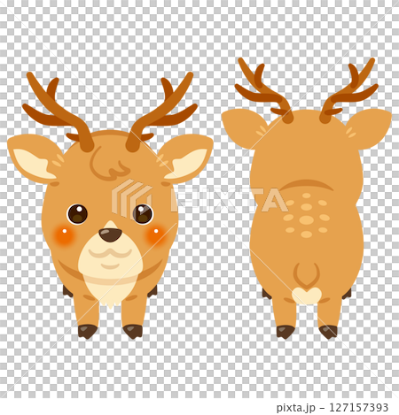 Deer front and back illustration set 127157393