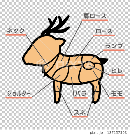 鹿肉部位插圖及文字 鹿肉部位插圖及文字 127157398