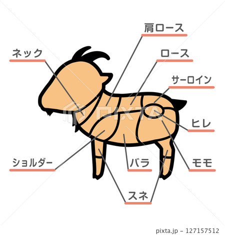 山羊肉の部位のイラスト　文字あり 127157512