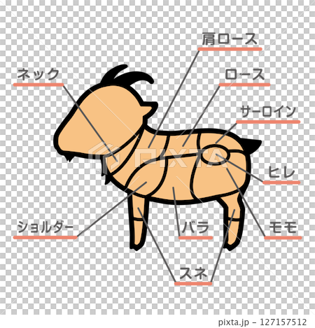 山羊肉の部位のイラスト　文字あり 127157512