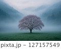 山間の桜と霧 127157549