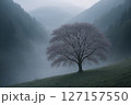 山間の桜と霧 127157550