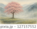 霧と桜の朝 127157552