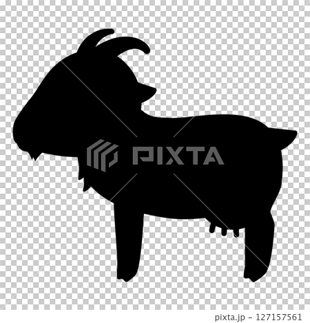 Silhouette of a female goat looking sideways 127157561
