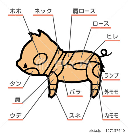 猪肉の部位のイラスト　文字あり 127157640