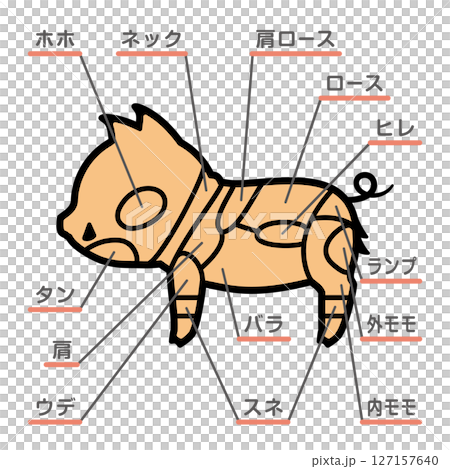 Illustration of parts of wild boar meat with text 127157640