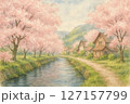 川沿いの満開桜 127157799