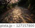 桜と木漏れ日 127157800