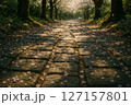 桜と木漏れ日 127157801