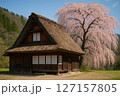 古民家と枝垂れ桜 127157805