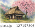 古民家と枝垂れ桜 127157806