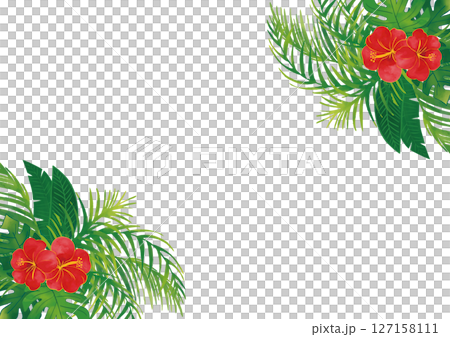 Watercolor tropical plant set decorative frame 1 127158111