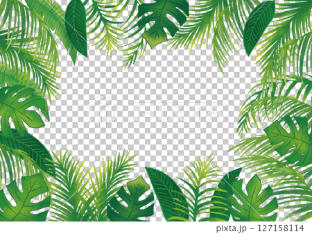 水彩熱帶植物裝飾框組4 127158114