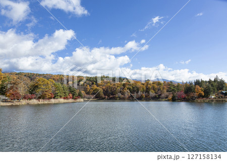 秋の青空と蓼科湖紅葉 秋の青空と蓼科湖紅葉 127158134