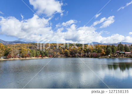 秋の青空と蓼科湖紅葉 秋の青空と蓼科湖紅葉 127158135