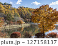 秋の青空と蓼科湖紅葉 127158137