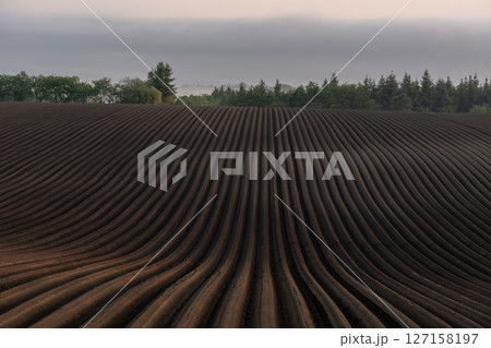 早春の大地 127158197
