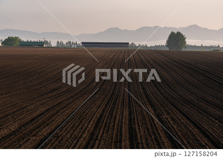 早春の大地 127158204