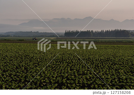 早春の大地 127158208