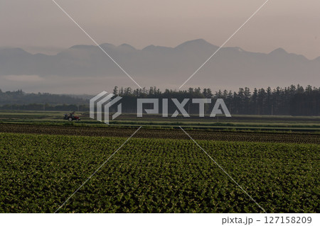 早春の大地 127158209