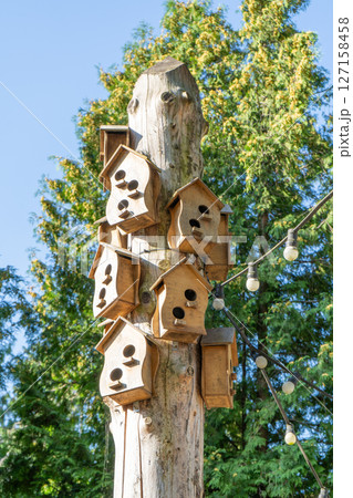 Birdhouse on a tree 127158458