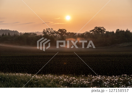 絶景十勝大地の朝 127158557