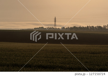 朝霧の中の送電鉄塔 127158724