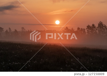 絶景十勝大地の朝 127158809