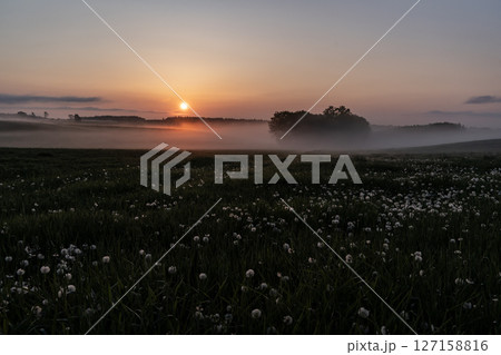 絶景十勝大地の朝 絶景十勝大地の朝 127158816