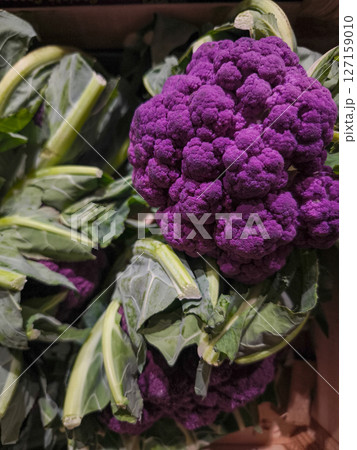 Close up purple cauliflower with lush green leaves, fresh produce at a market in aosta, italy during november market 127159010