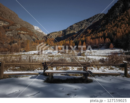 Stunning autumn scenery in aosta, italy, with vibrant orange trees, snow covered ground, and majestic mountains under a clear blue sky Frazionne Lillaz 127159025