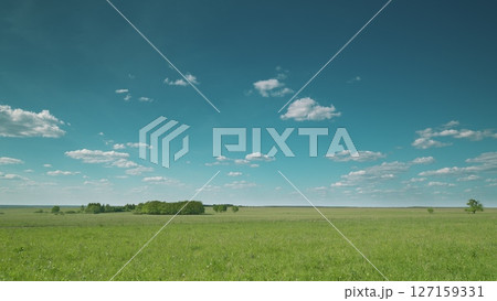 A Vast Green Field Spreading Out Under a Bright, Clear Blue Sky with Fluffy White Clouds 127159331