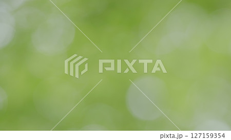 A Soft Green Bokeh Background that Creates Tranquil Aesthetics for Visual Enjoyment and Calm 127159354