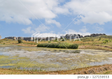 A peaceful view featuring a pond surrounded by lush greenery and residential buildings against a blue sky. A peaceful view featuring a pond surrounded by lush greenery and residential buildings against a blue sky. 127159553