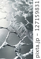 Close-up view of water textures forming unique patterns on a smooth surface. Soft light enhances details, creating a serene ambiance. Concept of design, wellness, nature appreciation 127159831