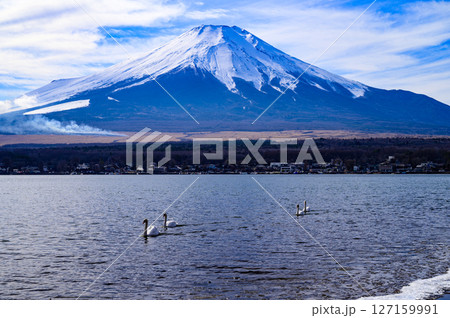 富士山と山中湖とコブハクチョウ、山梨県山中湖村 127159991