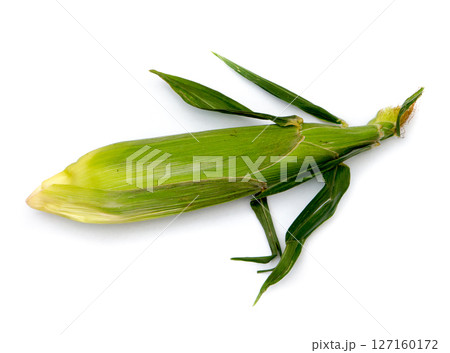 The yellow corn. 127160172