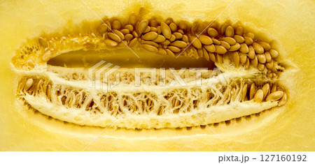 The vegetable Melon. 127160192