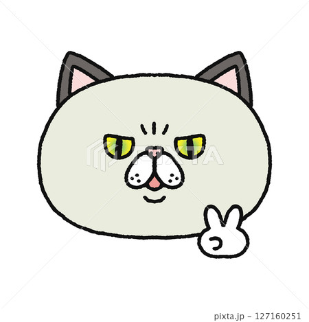 ピースをする猫 127160251