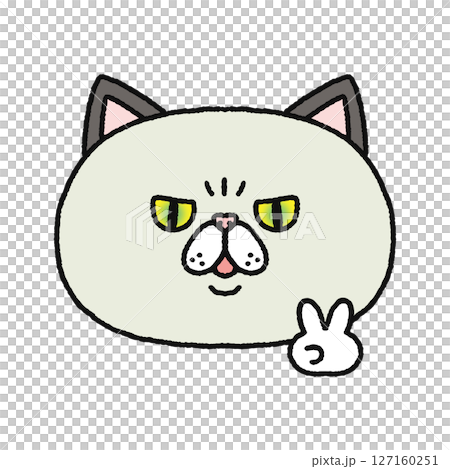 ピースをする猫 127160251