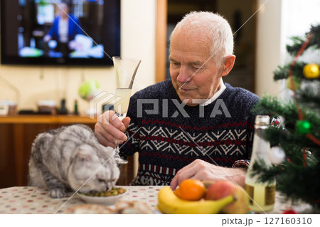 Positive senior man sitting at home table with cat during Christmas celebration Positive senior man sitting at home table with cat during Christmas celebration 127160310
