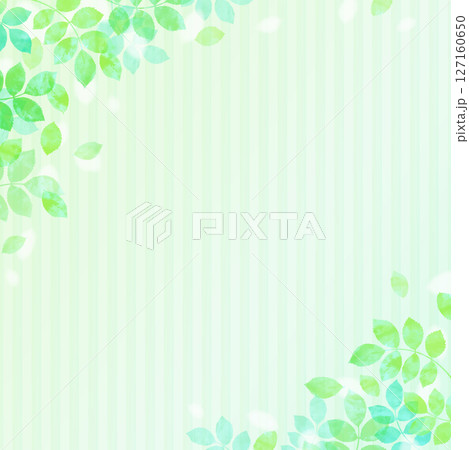 新緑の葉が舞う爽やかなイラスト背景 127160650