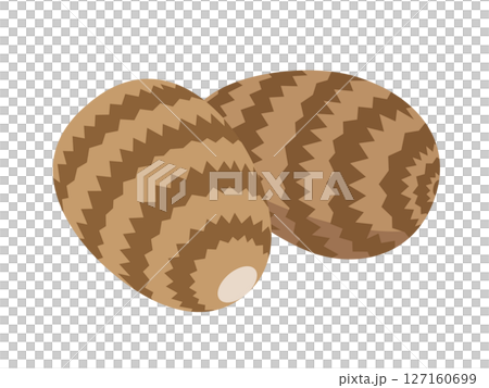 Taro icon 127160699