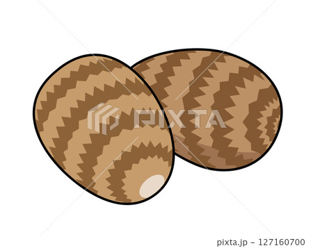 里芋のアイコン 127160700