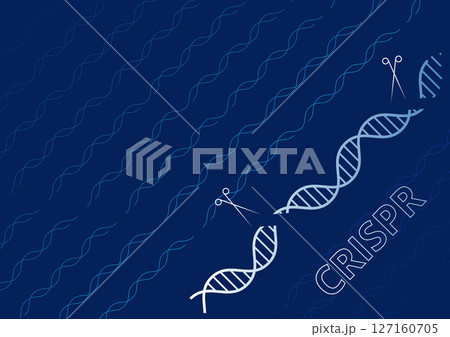 20250611_Tech76_05 127160705